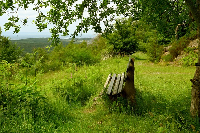 富有吸引力 富有吸引力
