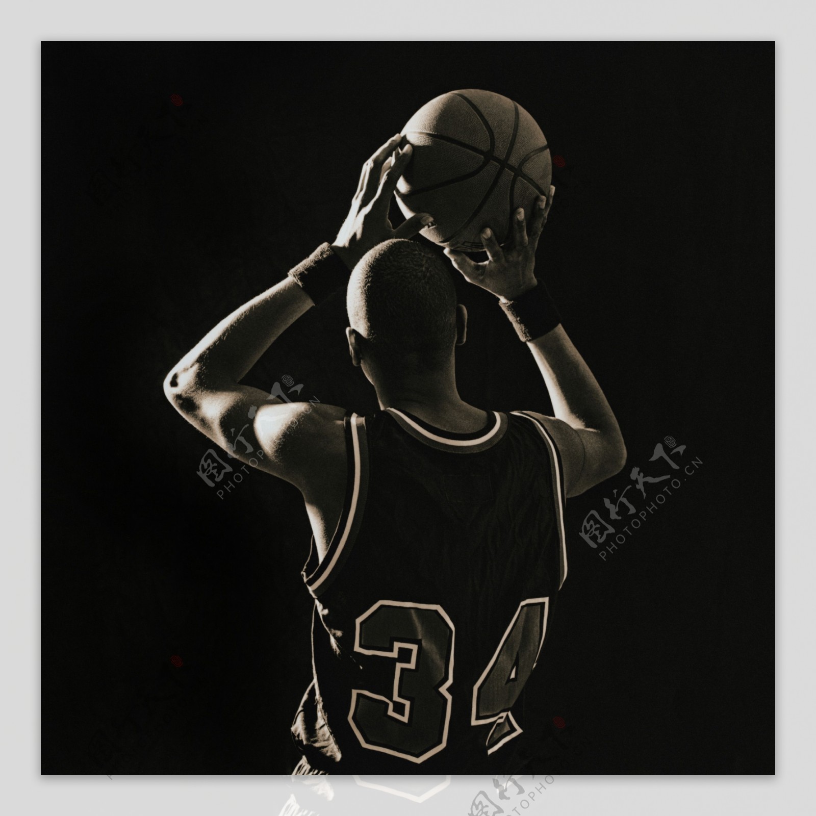 我们不仅感 我们不仅感