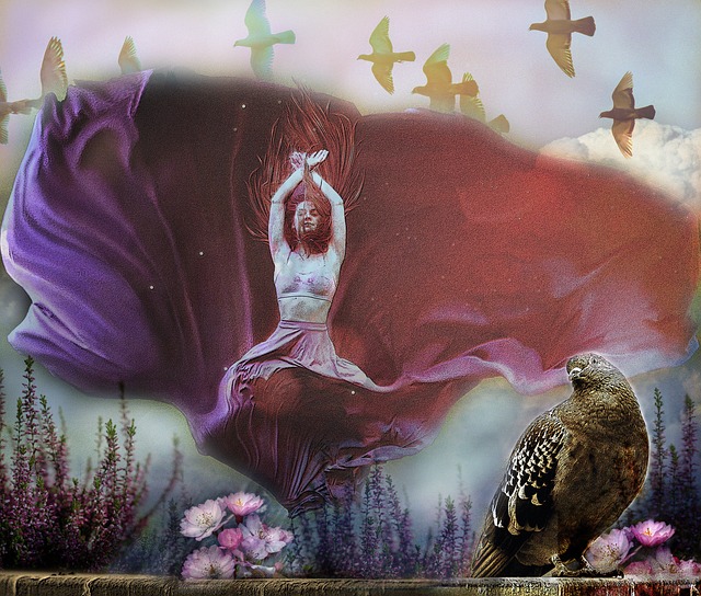 球迷们展示 球迷们展示