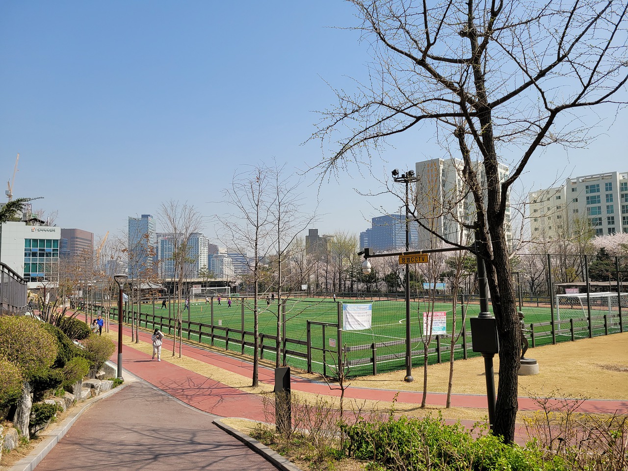 建立多个青 建立多个青