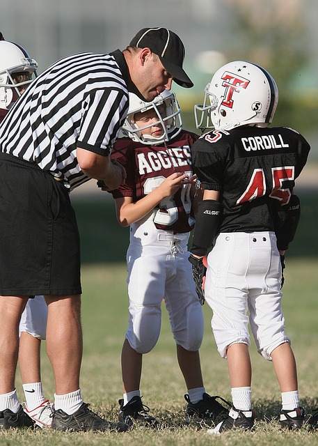 博卡青年目 博卡青年目